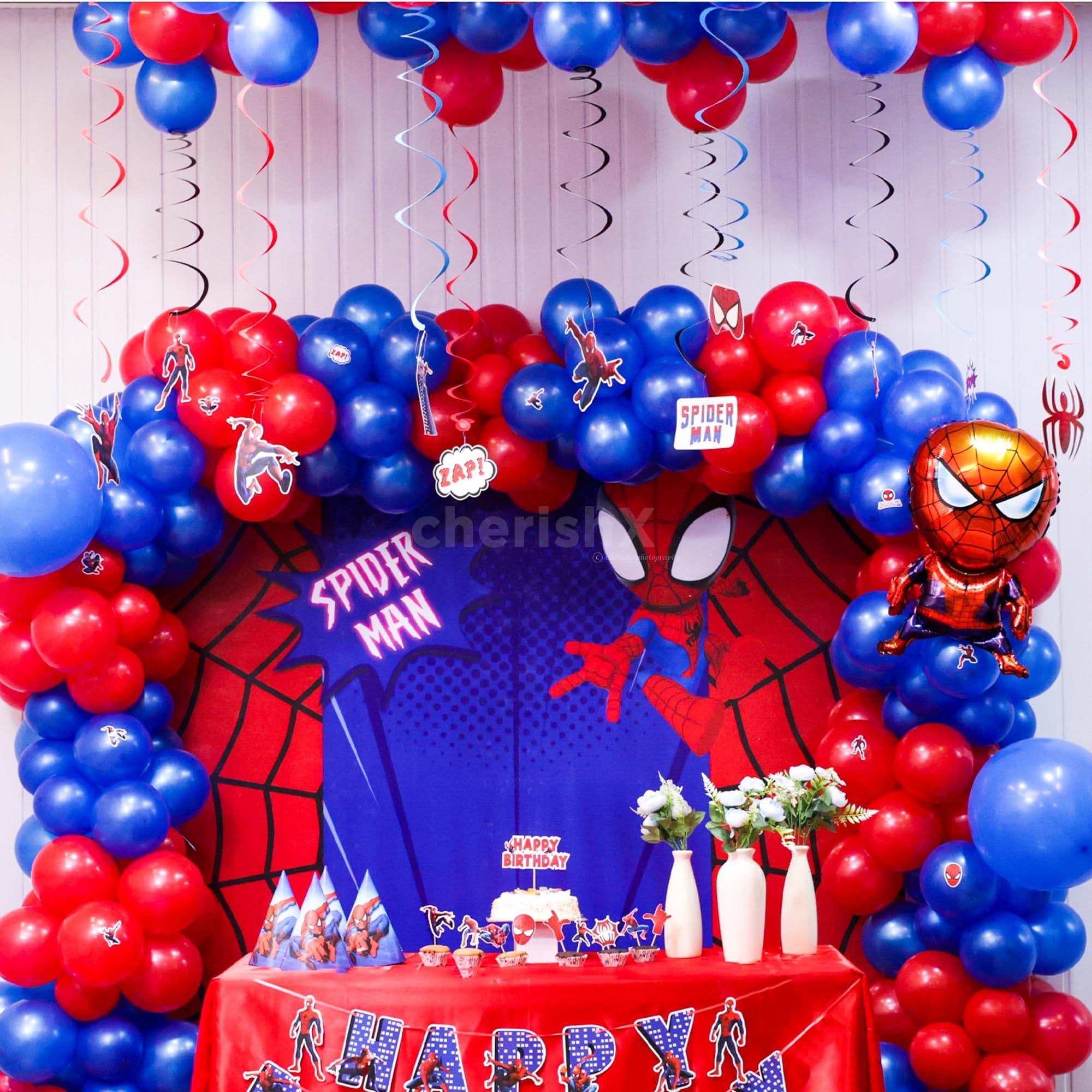 Web Slinging Party Vibes Only Kids Birthday Edition